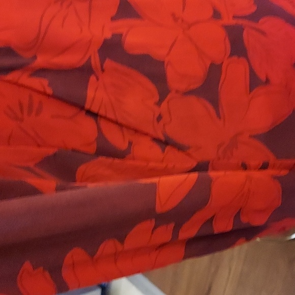 CAbi Red Floral Long Sleeve Dress - Picture 6 of 8
